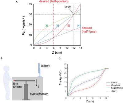Human Stiffness Perception and Learning in Interacting With Compliant Environments